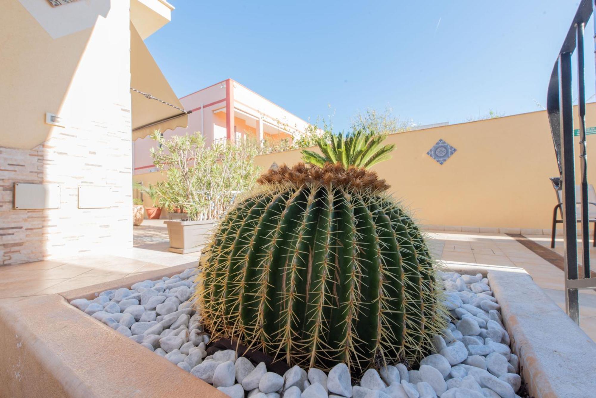 Room & Breakfast Aloe San Vito Lo Capo Buitenkant foto